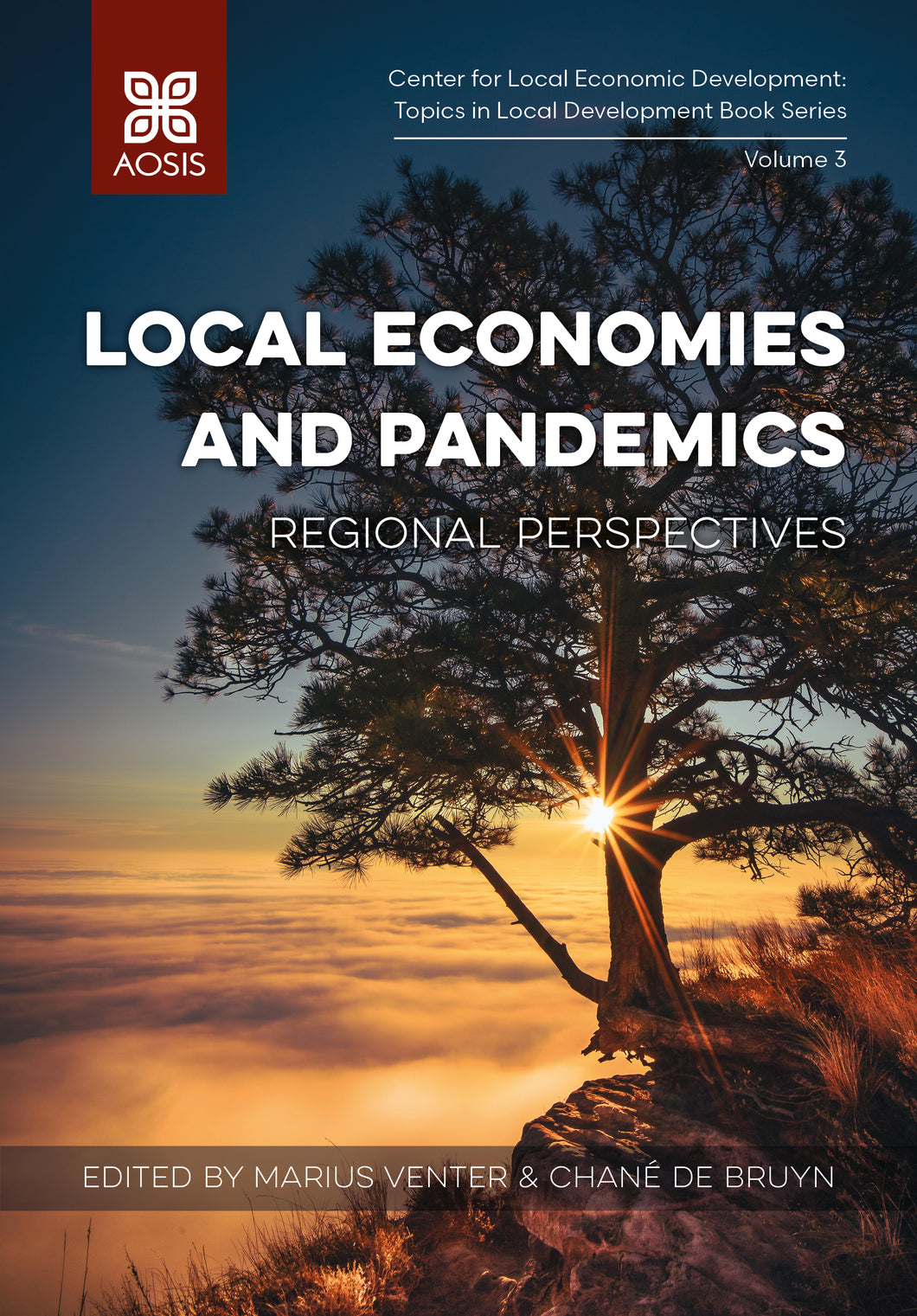 Local economies and pandemics: Regional perspectives