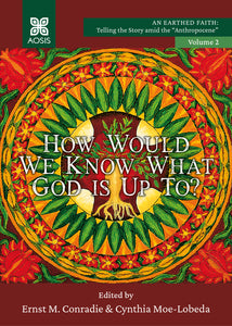 How Would we Know what God is up to?